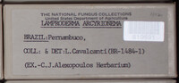 Image Associated With the Occurence